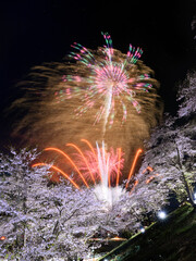 桜と花火