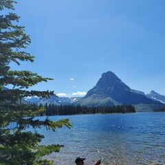 Montana National Glacier park 2024 