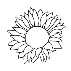 Vector sunflower illustration in line art style. Graphic monochrome drawing. Hand drawn floral outline sketch, engraved illustration. Design element for coloring book page, tattoo, logo, icon, label.