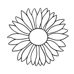 Vector sunflower illustration in line art style. Graphic monochrome drawing. Hand drawn floral outline sketch, engraved illustration. Design element for coloring book page, tattoo, logo, icon, label.