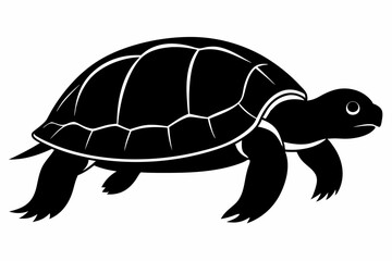 Turtle Silhouette, turtle marine animal icon, silhouettes of sea turtle
