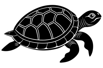 Turtle Silhouette, turtle marine animal icon, silhouettes of sea turtle
