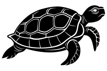 Turtle Silhouette, turtle marine animal icon, silhouettes of sea turtle
