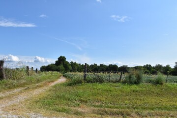 Fototapeta premium Gravel Road in a Farm Field
