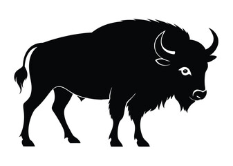 buffalo silhouette vector illustration 