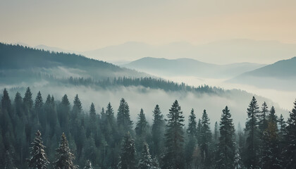 Green mountain forest landscape on a foggy day. Dark and moody forest in a haze. dense pine forest silhouettes in a Misty morning winter season outdoor nature background. 