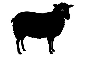 
Silhouette of sheep, sheep icon, Sheep silhouette isolated on white background. Vector illustration

