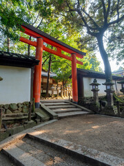 鮮やかな鳥居と石灯籠が建つ春日大社の参道