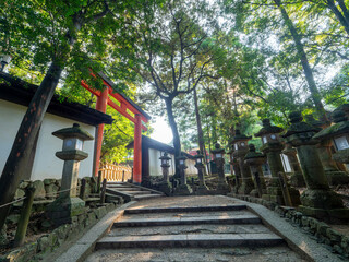 鮮やかな鳥居と石灯籠が建つ春日大社の参道