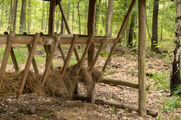Paśnik w lesie karmnik  © mydayphoto