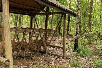 Paśnik w lesie karmnik  © mydayphoto