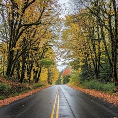 Fototapeta premium A picturesque autumn stretch of winding rural road through deciduous forests.