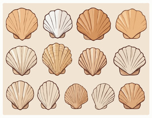 Seashell sea vector isolated hand drawing sketch beige 
