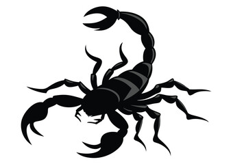 scorpion silhouette vector illustration white background  