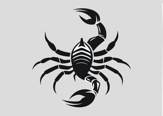 scorpion silhouette vector illustration white background  