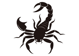 scorpion silhouette vector illustration white background  