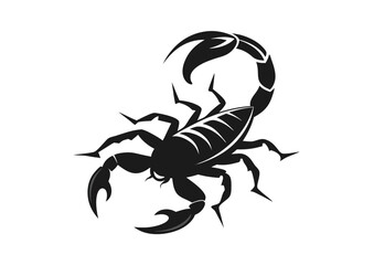 scorpion silhouette vector illustration white background  