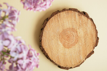 Obraz premium saw cut of a round tree and lilac branches on a beige background, product presentation with lilac
