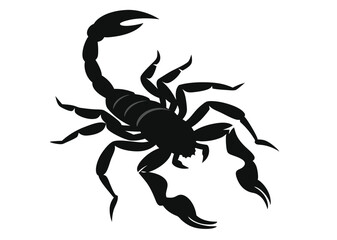 scorpion silhouette vector illustration white background  