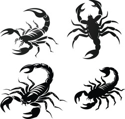 scorpion silhouette vector illustration white background  