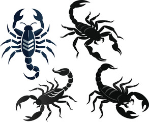scorpion silhouette vector illustration white background  