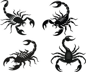 scorpion silhouette vector illustration white background  