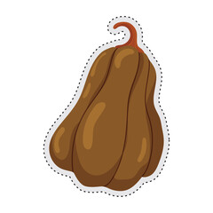 Pumpkin Autumn sticker icon Vector