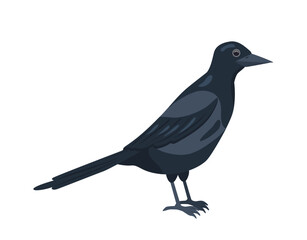 Obraz premium London black raven. British crow. United Kingdom culture and traditions. UK fauna and wildlife. Graphic element for website. Flat vector illustration isolated on white background