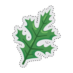Leaf Autumn sticker icon Vector