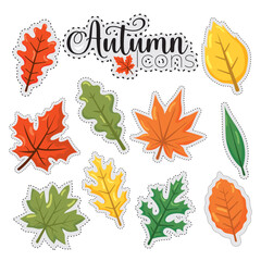 Obraz premium Autumn leaves stickers icons set Vector