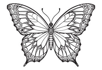 butterfly coloring pages and graphic element.