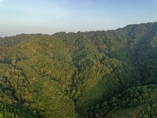 Fototapeta premium Aerial view Tropical Rainforest trees mountains
