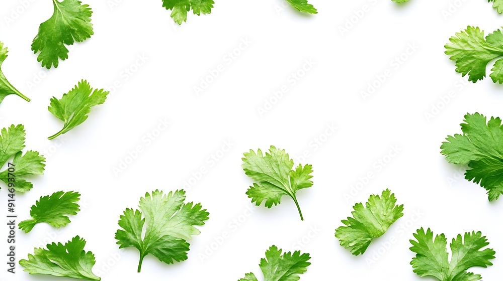 Poster coriander leaf isolated on white background top view flat lay : generative ai