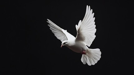 Obraz premium White dove flying on black background and Clipping path freedom concept and international day of peace : Generative AI