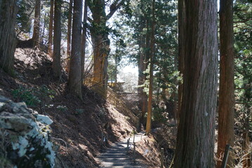 玉置神社・参道 © Bosporus
