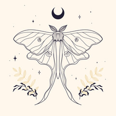 mystic night moth with long wings outline. esoteric spiritual elements. tatto and poster ideas 