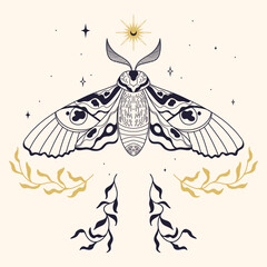 mystic cicada moth outline. eyes silhouette on wings. esoteric spiritual elements