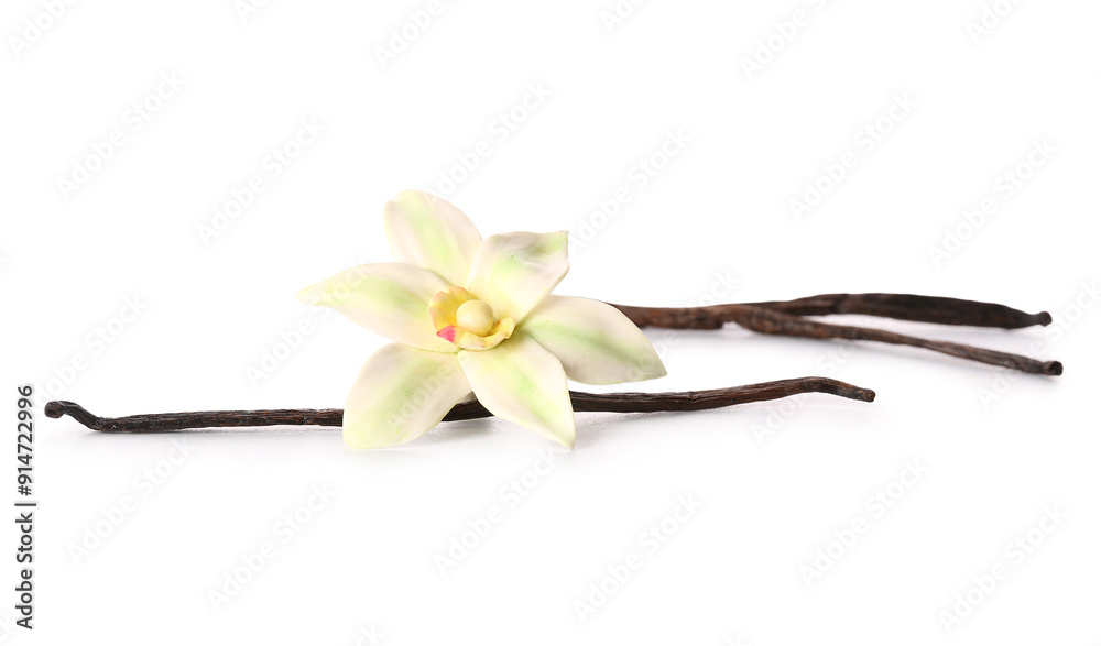 Wall mural beautiful vanilla flower and sticks on white background