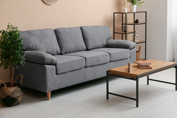 Cozy sofa, shelving unit, coffee table and houseplant near beige wall in living room