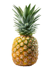 Fresh Juicy Pineapple with Spiky Green Crown