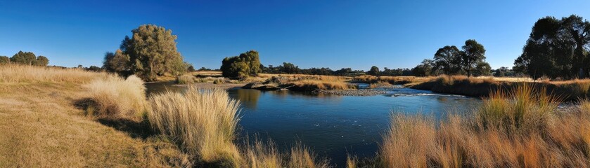Obraz premium A tranquil riverbank with tall grasses and a clear blue sky