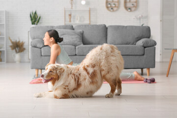 Young woman with Australian Shepherd dog stretching in living room