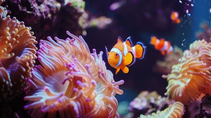 Anemone and Clownfish in a Vibrant Underwater Habitat