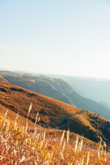 熊本県阿蘇の景色