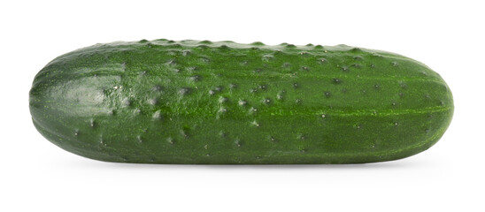 One fresh green cucumber isolated on white