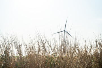 Obraz premium Harvesting the wind: Turbines spin in a dance with nature, fueling a cleaner tomorrow.