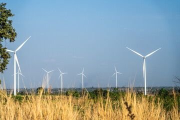 Wind turbines towering over golden fields against a clear sky, a symbol of sustainable energy.