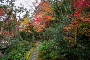 カラフルな紅葉に囲まれた日本庭園の情景