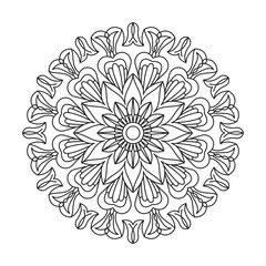 Indian floral paisley medallion mandala design for coloring book
