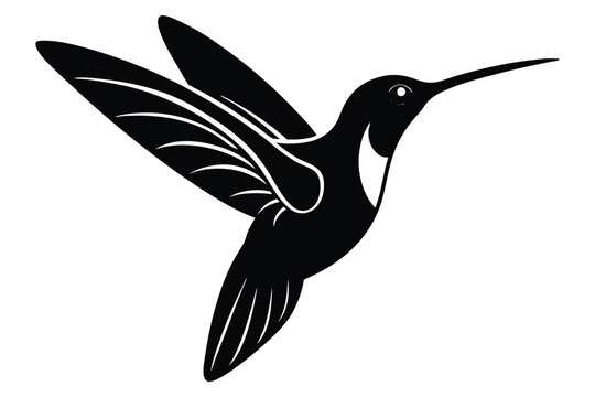 recommend clip art: Ruby-throated Hummingbird Silhouette Elegant Bird Art